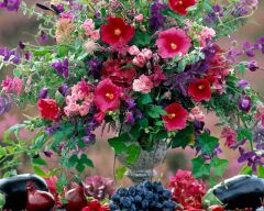 Tapeta Nature Flowers 539.jpg